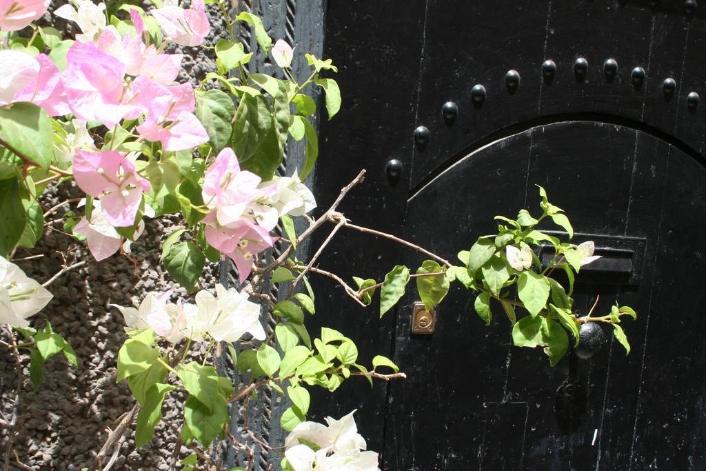 Riad Alghani Marrakesh Exterior photo